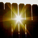 Illustration for article titled Shooting Challenge: Lens Flare Gallery Part Two